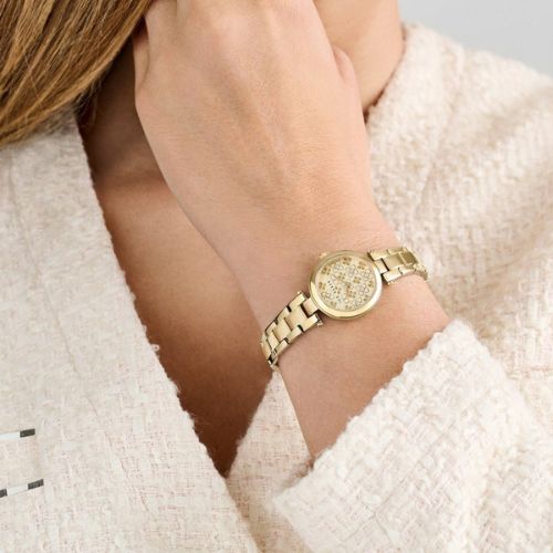 Ted Baker Jolyye Gold Watch on wrist