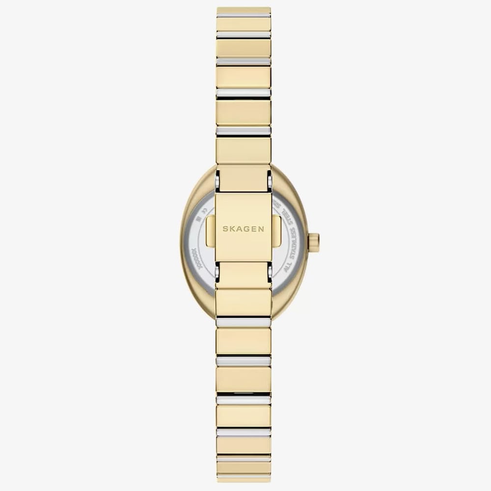 Skagen Ladies Anita Oval Two-Hand Two-Tone Bracelet Watch SKW3183