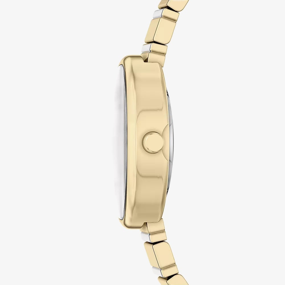 Skagen Ladies Anita Oval Two-Hand Two-Tone Bracelet Watch SKW3183