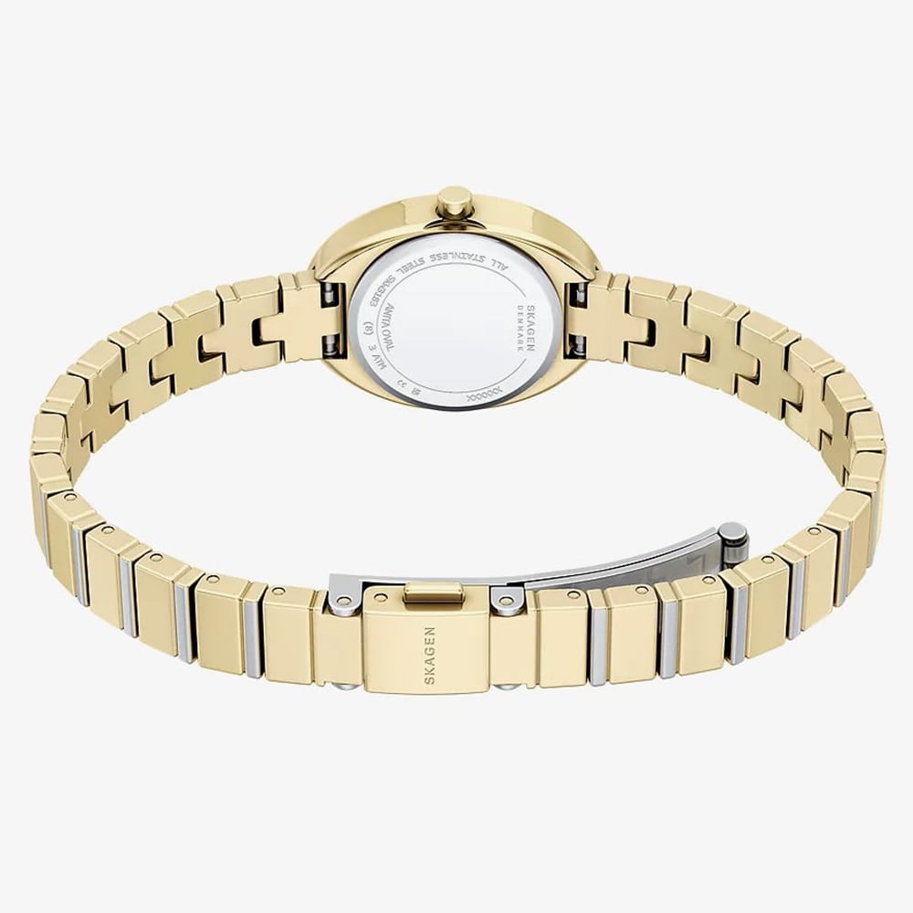 Skagen Ladies Anita Oval Two-Hand Two-Tone Bracelet Watch SKW3183
