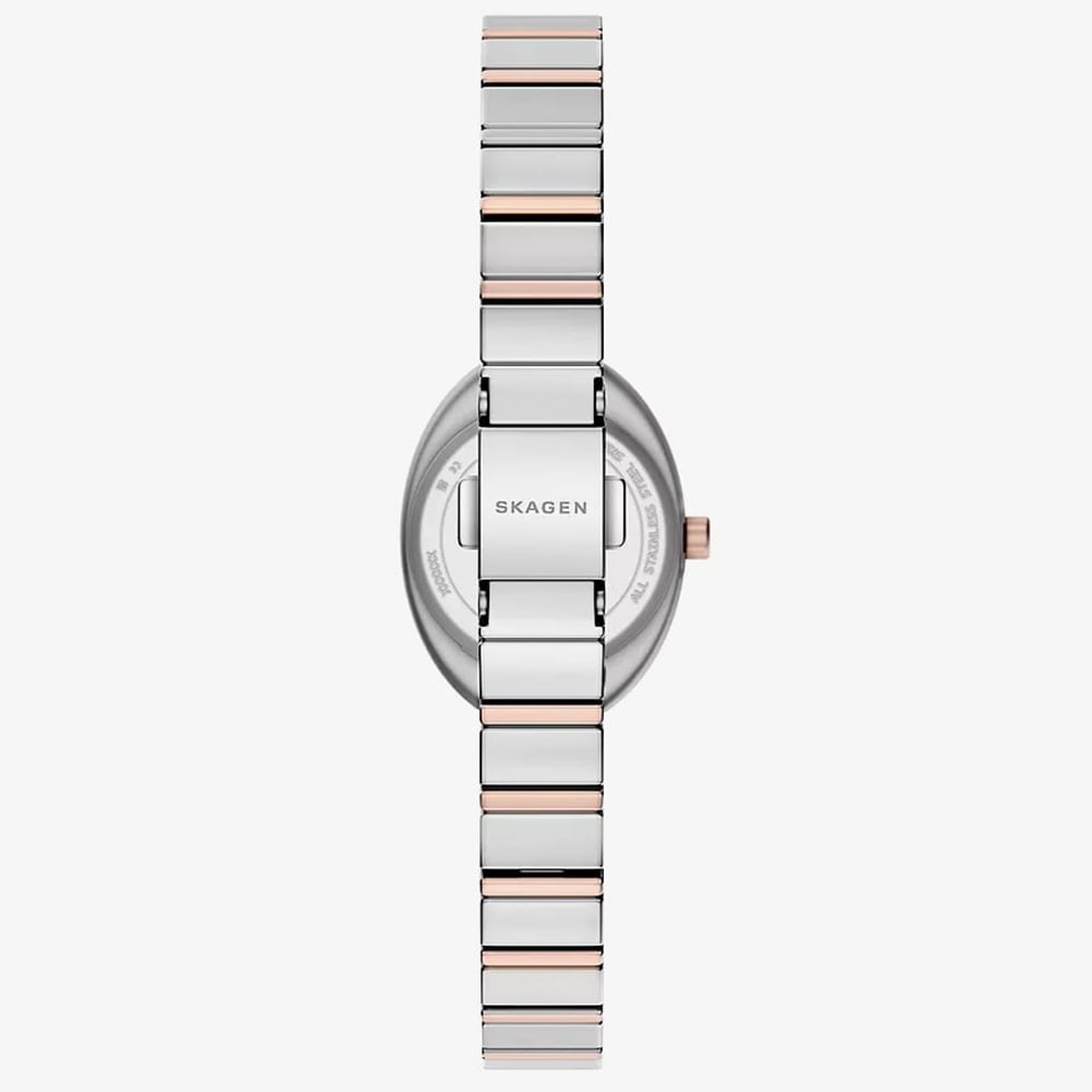 Skagen Ladies Anita oval Two-Hand Two-Tone Bracelet Watch SKW3184