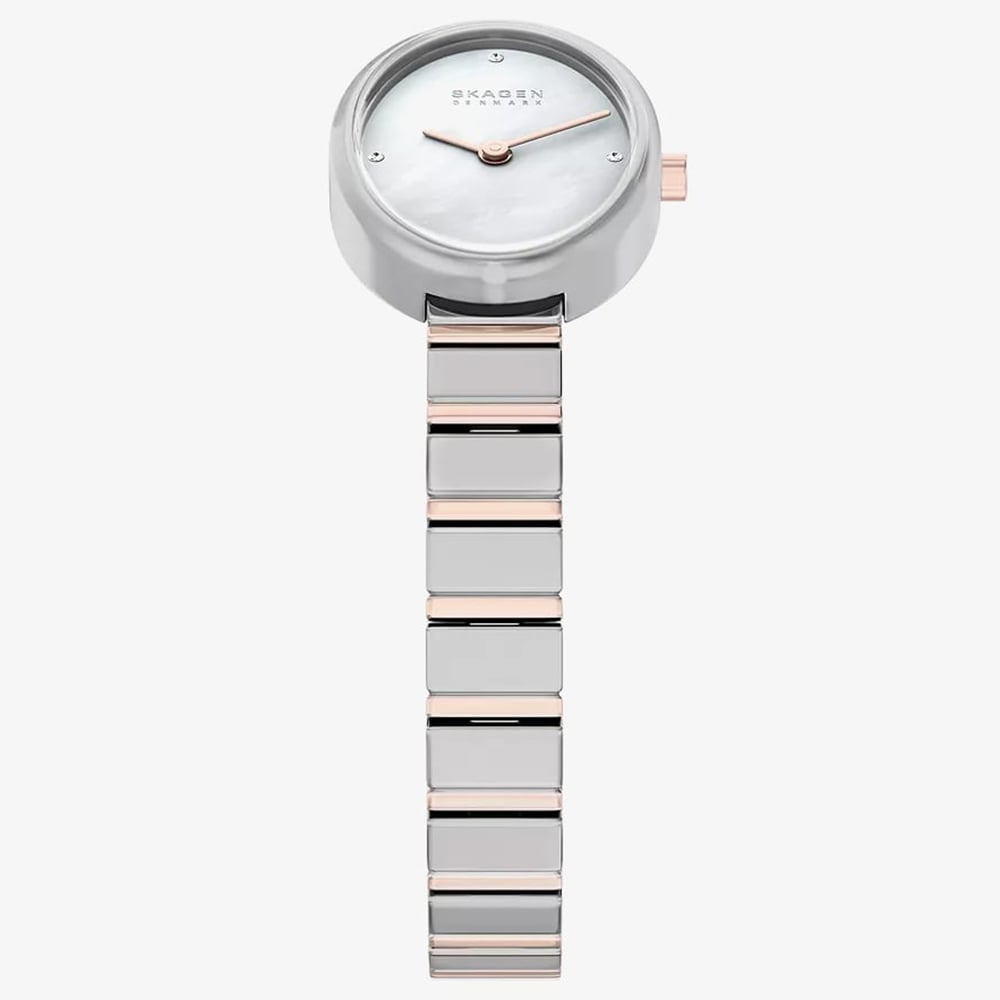 Skagen Ladies Anita oval Two-Hand Two-Tone Bracelet Watch SKW3184