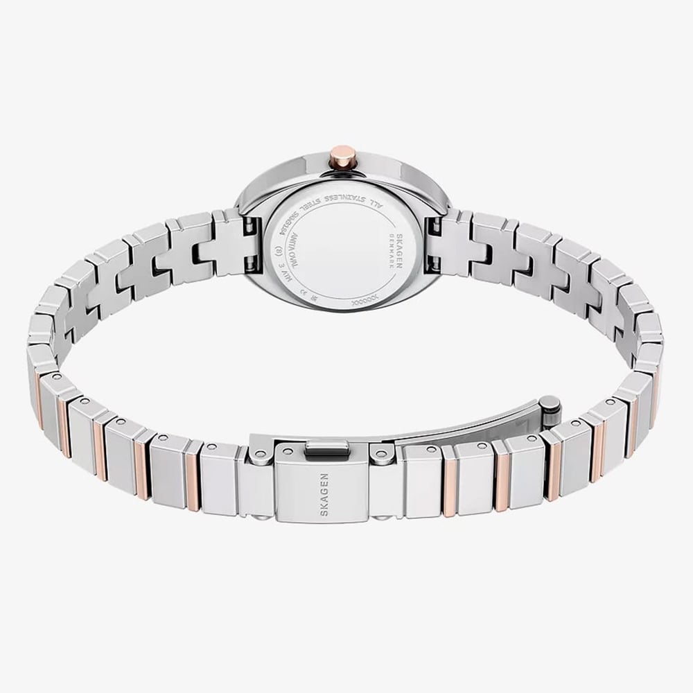 Skagen Ladies Anita oval Two-Hand Two-Tone Bracelet Watch SKW3184