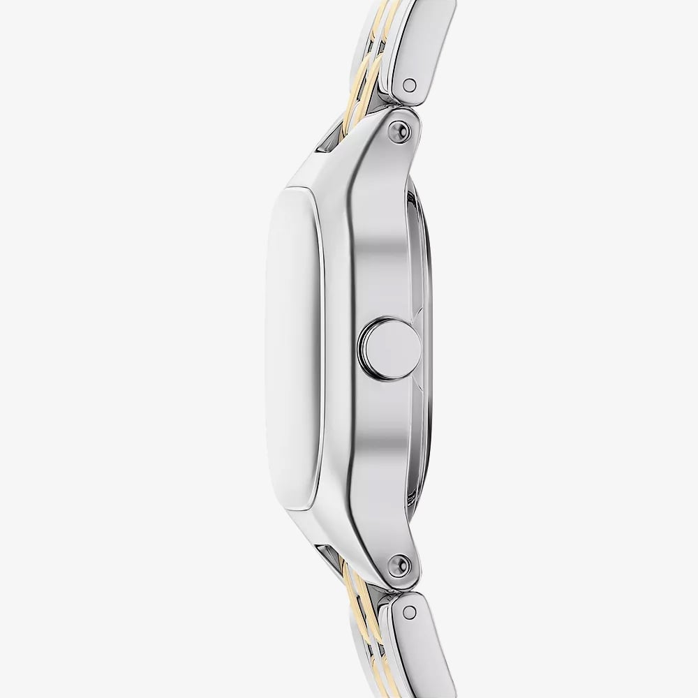 Skagen Ladies Mellem Micro Two-Hand Green Dial Two-Tone Bracelet Watch SKW3187