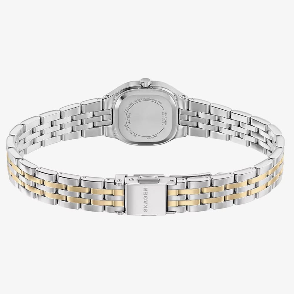 Skagen Ladies Mellem Micro Two-Hand Green Dial Two-Tone Bracelet Watch SKW3187