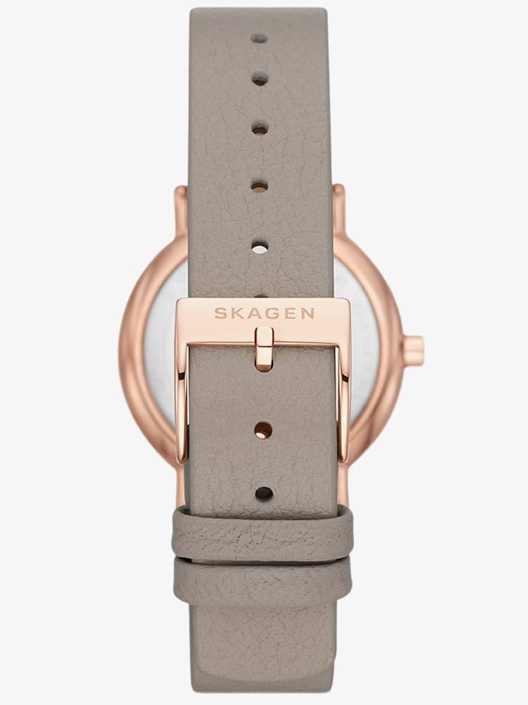 Skagen Ladies Signatur Lille Sand Watch SKW3060