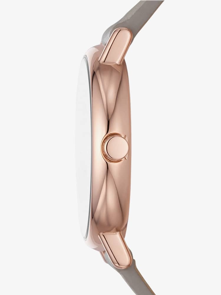 Skagen Ladies Signatur Lille Sand Watch SKW3060