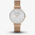 Skagen Ladies Anita Rose Gold Plated Bracelet Watch SKW2151
