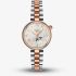 Tissot Ladies Desir Silver Moonphase Dial Two Tone Stainless Steel Bracelet Watch T152.223.22.036.00