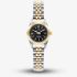 Jacques du Manoir Ladies Mini Inspiration Black Mother of Pearl Dial Two Tone Bracelet Watch JWL05105