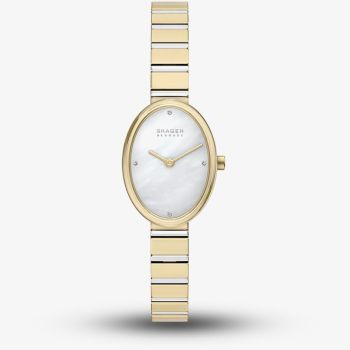 Skagen Ladies Anita Oval Two-Hand Two-Tone Bracelet Watch SKW3183