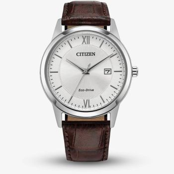 Citizen eco drive watch strap hot sale